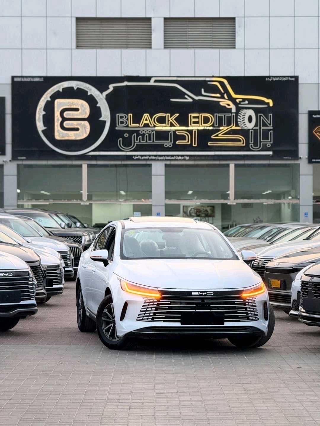 بي واي دي سونغ برو دي إم-ي 2025