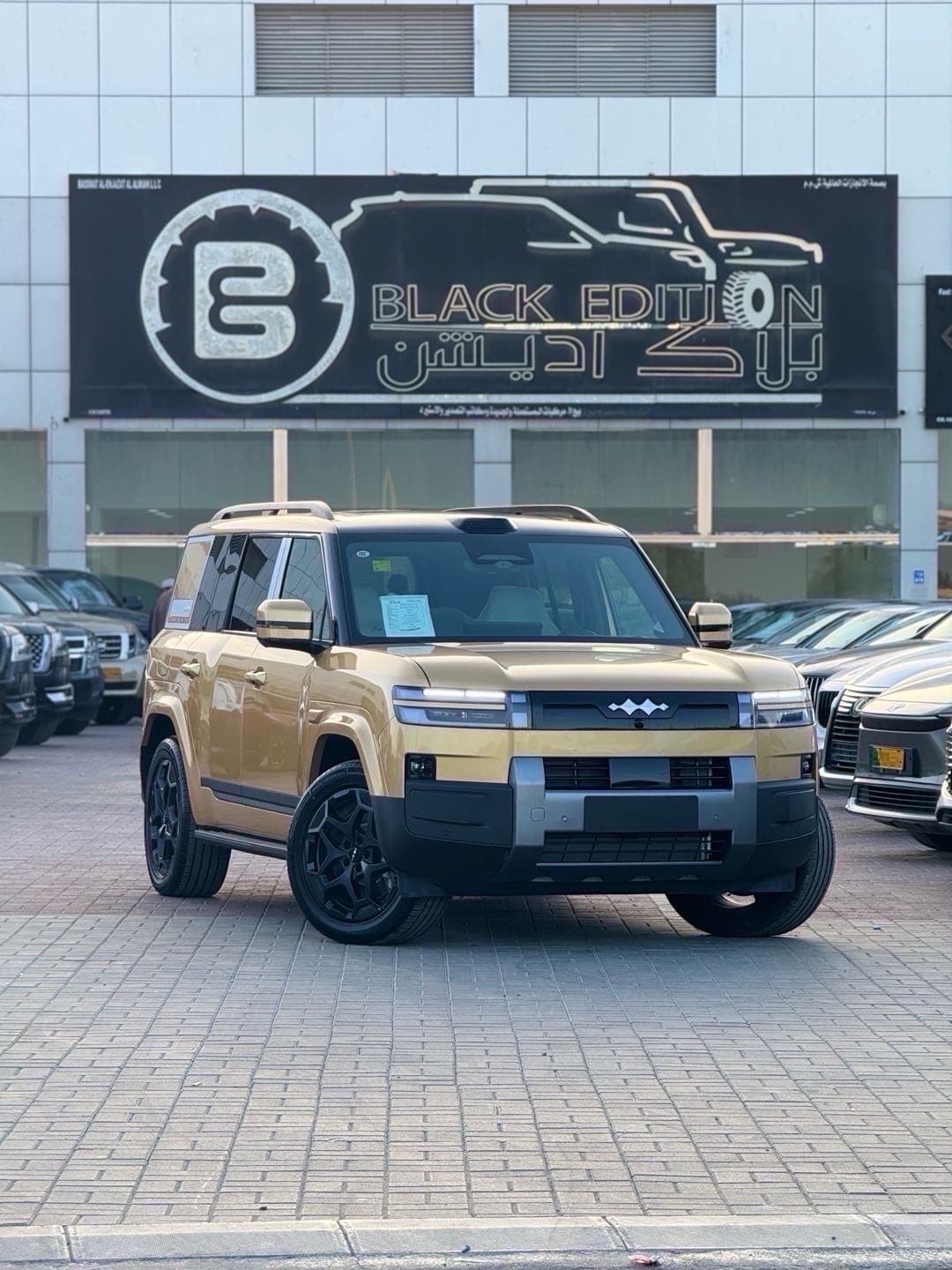 بي واي دي سونغ برو دي إم-ي 2025