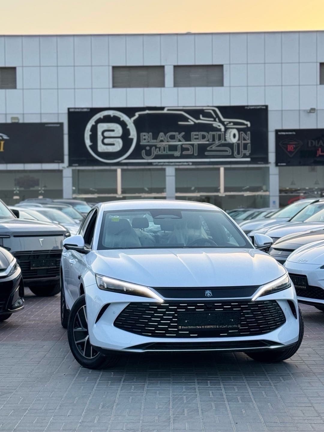 بي واي دي تانغ دي إم-ب 2025